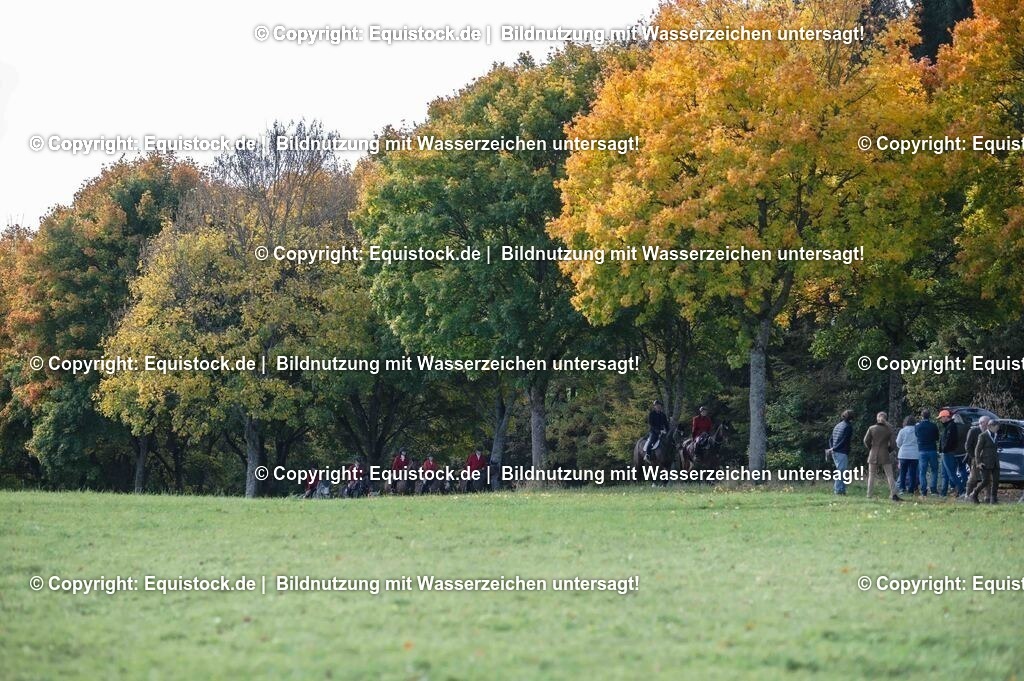 20251011_Jagd-Marbach_0276 | Foto: Thomas Hartig