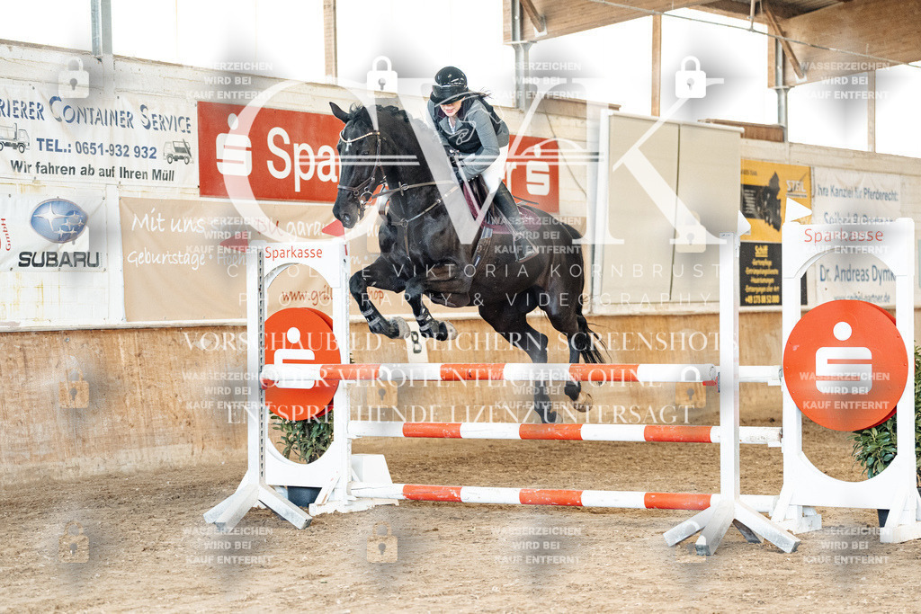 CK904931 | Turnierfotografie Pferdefotografie Trier Rheinland-Pfalz Pferdesport Reitsport Tierfotografie Sportfotografie Pferdevideo Pferdevideografie Equestrianvideography equestrianphotography  - Realisiert mit Pictrs.com