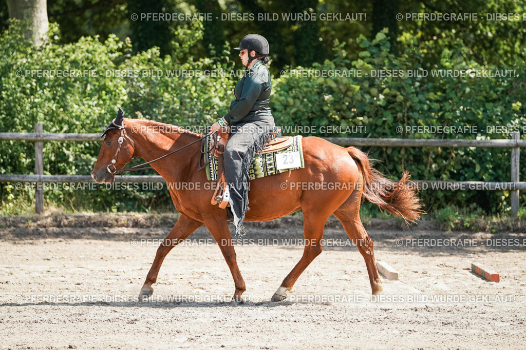 DSC06576 | Pferdegrafie