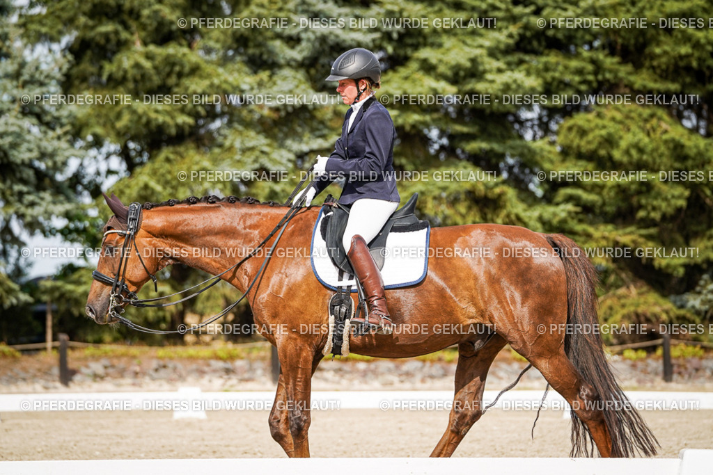 DSC07011 | Pferdegrafie