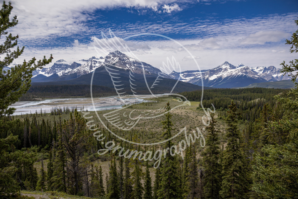 endless wilderness - canada | Authentische Landschafts- & Wildtierfotografie aus der Schweiz. Hochwertige Wandbilder, Fine-Art-Prints und Wunschmotive nach Auftrag – sorgfältig entwickelt im Grumagraphy-Style