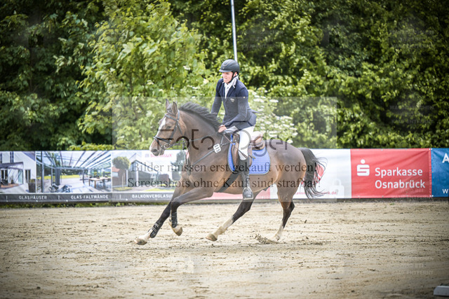 DOS_1387 | Entdecke hochwertige Reitturnierfotos von Foto Oger. Professionell, emotional und authentisch – jetzt Lieblingsmomente im Shop bestellen. - Realized with Pictrs.com