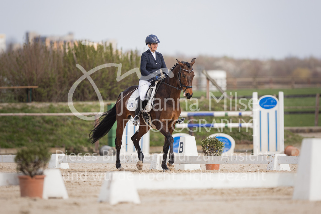 230410_Frühlingsfest_DressurWBE1-212 | Deine schönsten Turniermomente als professionelle Fotos! Entdecke hochwertige Pferdesport-Fotografie im Online-Shop. Jetzt Fotos finden & bestellen!