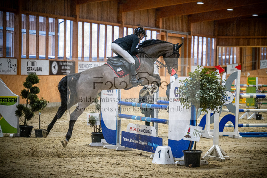 DOS_2347 | Entdecke hochwertige Reitturnierfotos von Foto Oger. Professionell, emotional und authentisch – jetzt Lieblingsmomente im Shop bestellen.Deutschlandweite Turnierfotografie. - Realisiert mit Pictrs.com