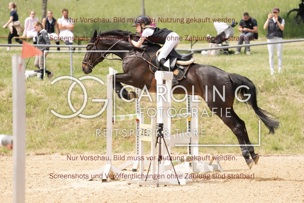 DSC06637 | Springturnier_Ehingen_Mai_2026, Paulina_Dudik, Laerke