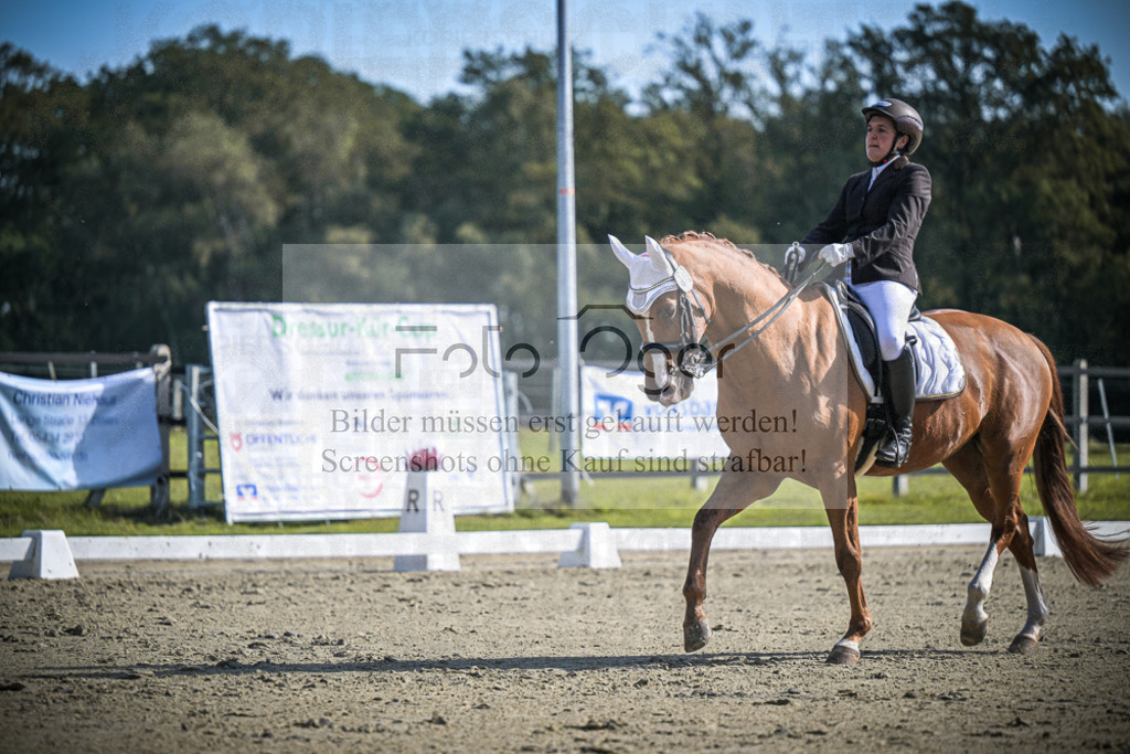 DOS_1577 | Entdecke hochwertige Reitturnierfotos von Foto Oger. Professionell, emotional und authentisch – jetzt Lieblingsmomente im Shop bestellen.Deutschlandweite Turnierfotografie. - Realisiert mit Pictrs.com