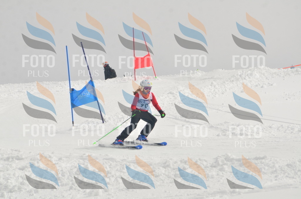 A5572 | holidayphoto