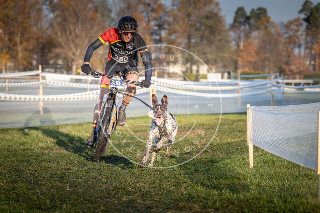 CaniXpix_0L8A3725 | Hundefotografie, Tierfotograf, Pfotenfotografie, Fotoshooting Hund, Hunde Portrait, Hundesport, Hundeportraits, Heideshooting, Hunde, Sportfotograf, Hundefotograf, Turnierhundsport, THS,  - Realisiert mit Pictrs.com