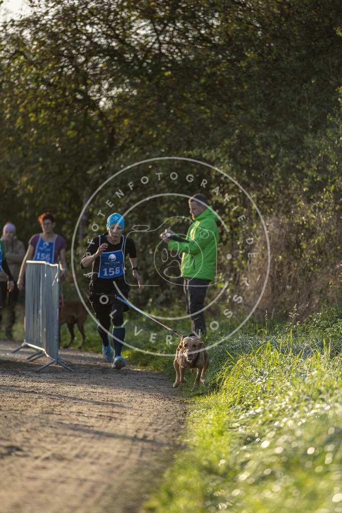 Pfotenfotografie.de_DV3A2549 | Hundefotografie, Tierfotograf, Pfotenfotografie, Fotoshooting Hund, Hunde Portrait, Hundesport, Hundeportraits, Heideshooting, Hunde, Sportfotograf, Hundefotograf, Turnierhundsport, THS, canicross - Realisiert mit Pictrs.com