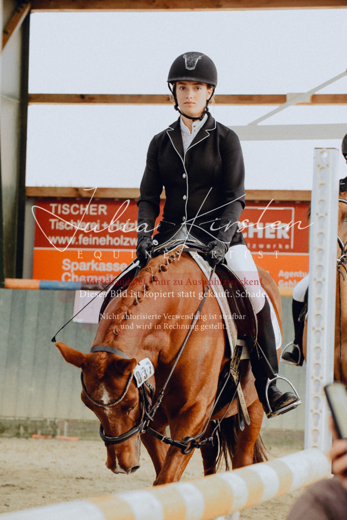 DSC_7280 | Pferde- und Turnierfotografie in Westsachsen. Pferdeportraits, Auftragszeichnungen und intuitive Kunst.