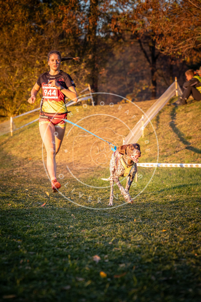 CaniXpix_0L8A1933 | Hundefotografie, Tierfotograf, Pfotenfotografie, Fotoshooting Hund, Hunde Portrait, Hundesport, Hundeportraits, Heideshooting, Hunde, Sportfotograf, Hundefotograf, Turnierhundsport, THS,  - Realisiert mit Pictrs.com