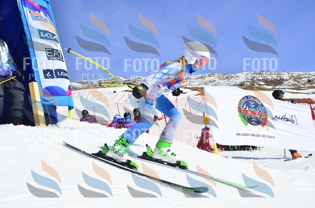 _ELE0505 | holidayphoto