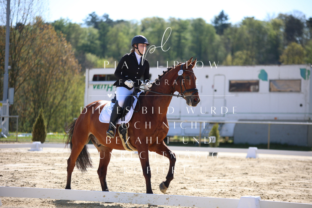 IMGT9638 | pl-fotografie