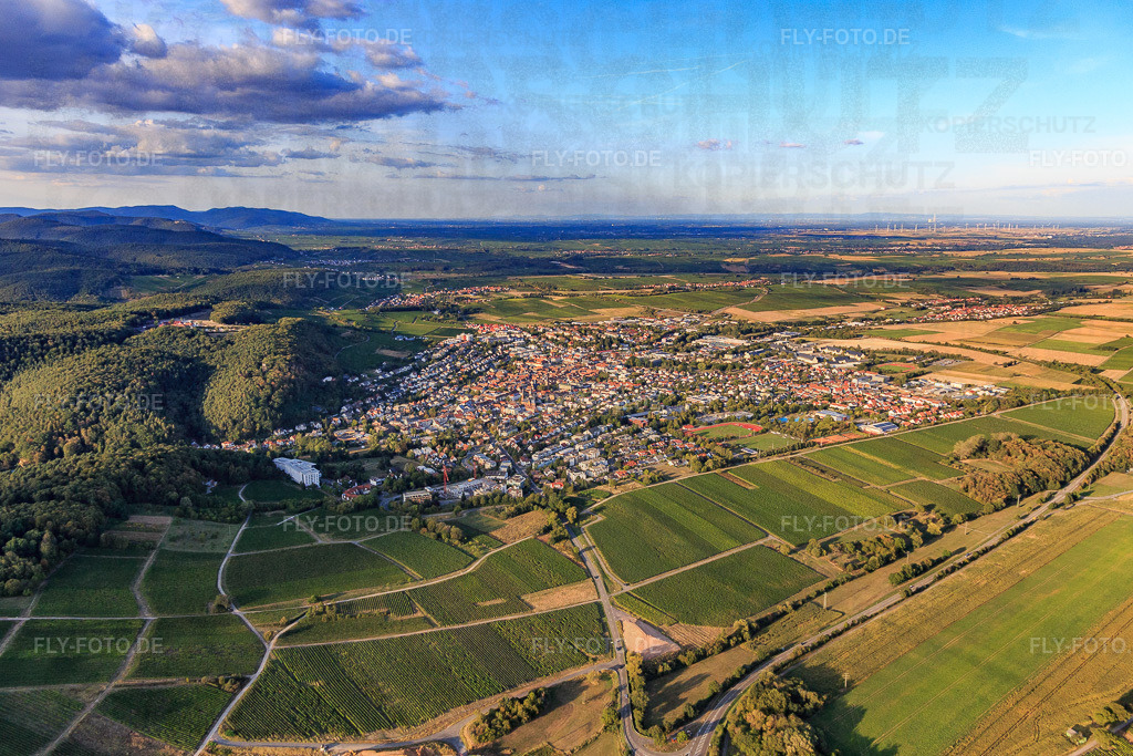 Stadtansicht aus Süden | Luftbild: Stadtansicht aus Süden in Bad Bergzabern im Bundesland Rheinland-Pfalz in Deutschland. Foto: IMG_117421.jpg vom 06.09.2019 durch Werner Riehm/FLY-FOTO.de - Realisiert mit Pictrs.com