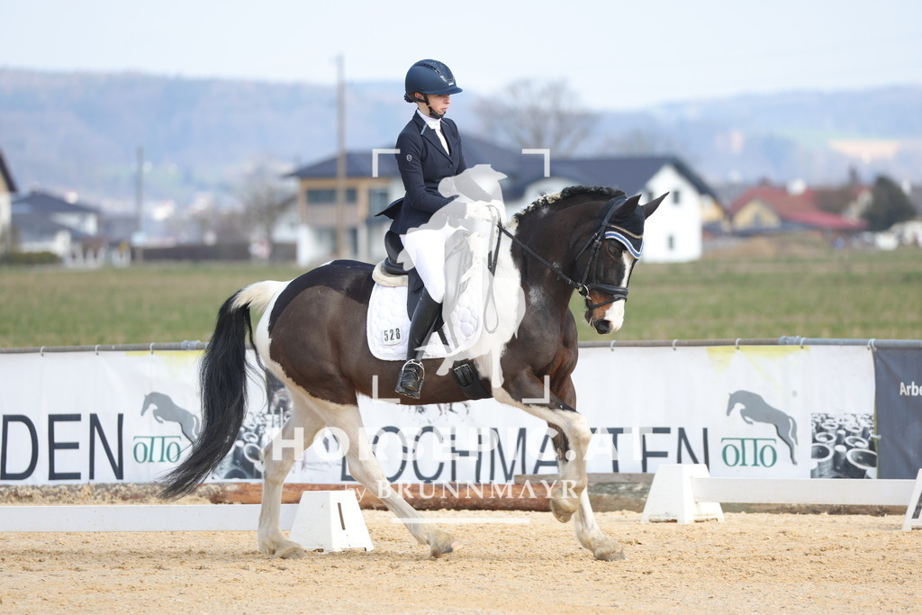 0P6A6344 | Willkommen bei Brunnmayr - Design & Fotografie – Ihrem Spezialisten für Reitturniere und Pferdeveranstaltungen in Oberösterreich, Salzburg und Bayern! Seit über 17 Jahren sind wir leidenschaftlich dabei.