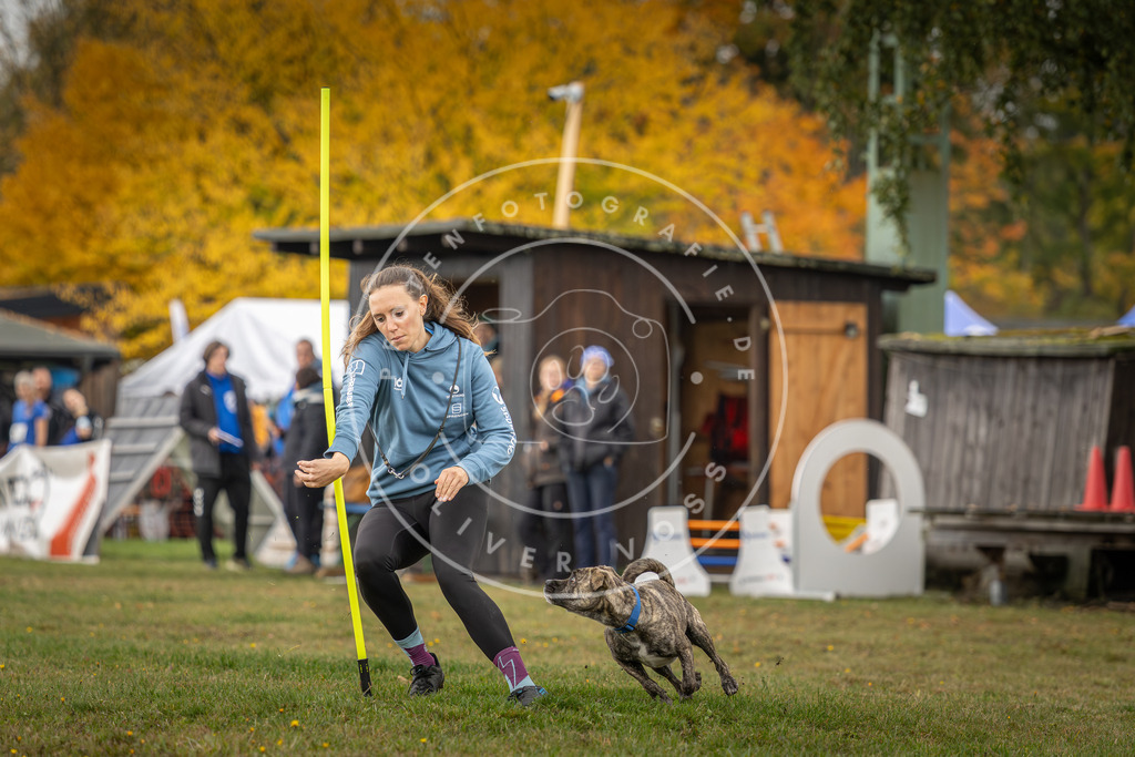 Pfotenfotografie_DV3A2921 | Hundefotografie, Tierfotograf, Pfotenfotografie, Fotoshooting Hund, Hunde Portrait, Hundesport, Hundeportraits, Heideshooting, Hunde, Sportfotograf, Hundefotograf, Turnierhundsport, THS,  - Realisiert mit Pictrs.com