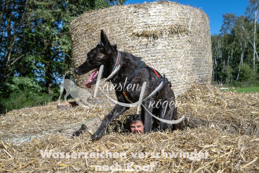 1237_ZZ91827-2 | kk-dogfotos