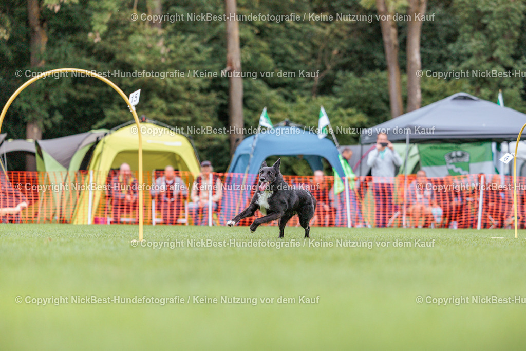 BSP Hoopers-H2 Tag2-2026-Nickbest-Hundefotografie-TuS Komet Arsten e.V.-7253 | Dein Hund! Dein Moment! Deine Erinnerungen! Hundefotografie in Bremen Blumenthal. Ich fange die besonderen Momente deines Vierbeiners ein – ob Indoor mit Blitzanlage oder in der freien Natur. Sicher dir dein Moment und dein Termin für eure Erinnerungen.