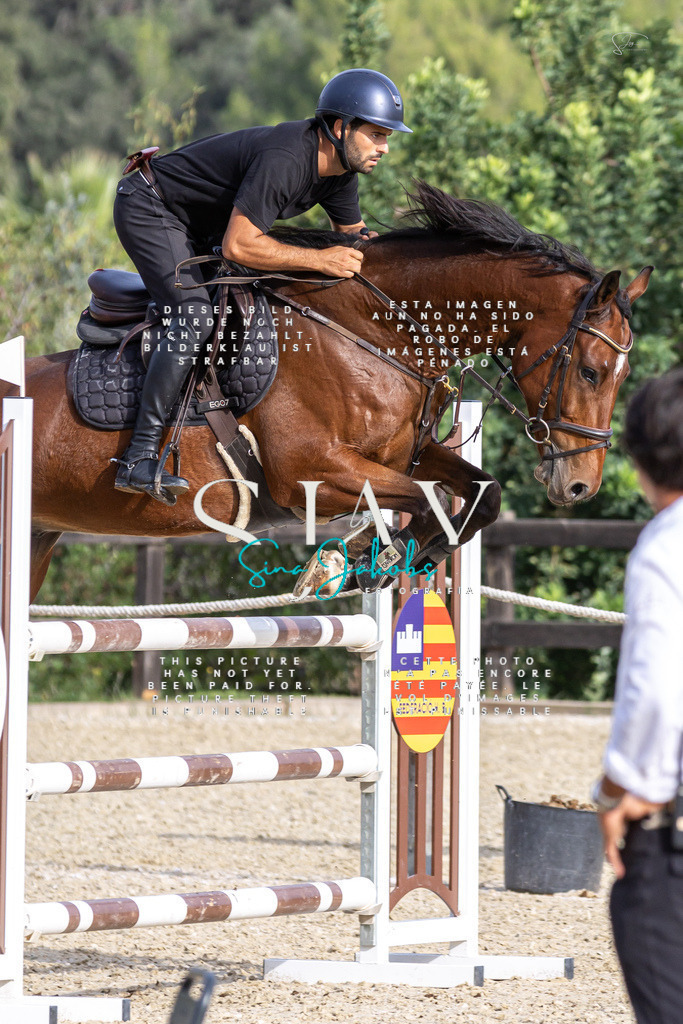 IMG_4264 | s-jay-photography - Realisiert mit Pictrs.com