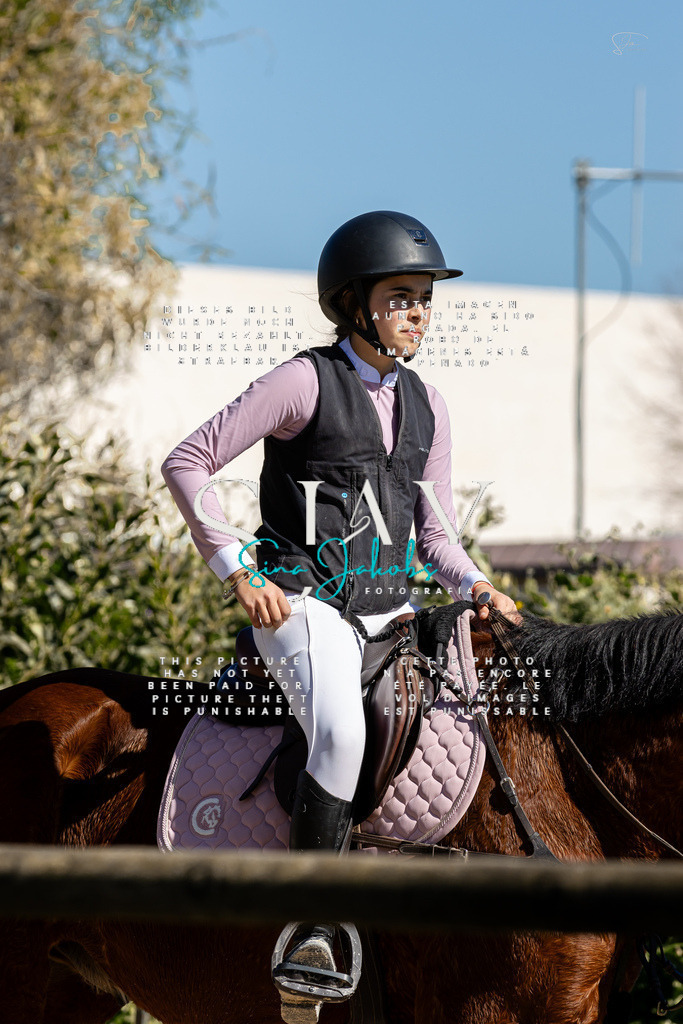 IMG_0231 | s-jay-photography - Realisiert mit Pictrs.com