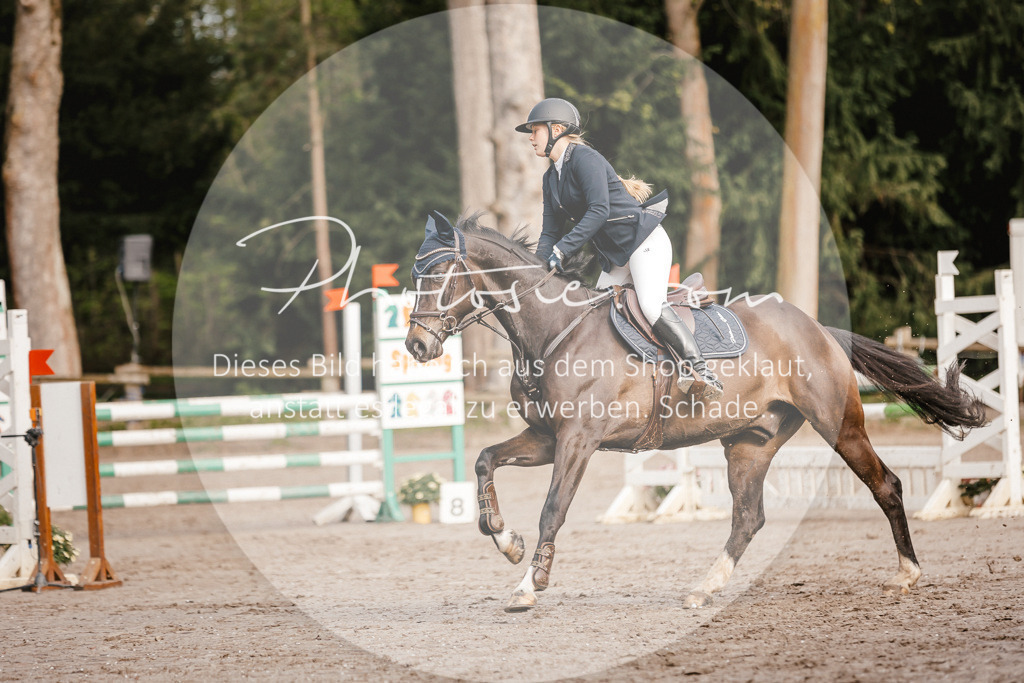 3I6A3362 | Stimmungsvolle Portraits und Reitsportfotografie im Ruhrgebiet und im Münsterland.

Pferdefotografie, Hundefotografie, Tierfotografie, Reportagen, Portraits von Tier und Mensch, Turnierfotografie in Bochum, Recklinghausen, Marl, Haltern am See, Dülmen.. - Realisiert mit Pictrs.com