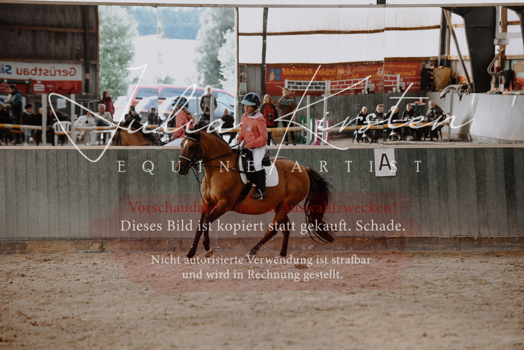 DSC_7533 | Pferde- und Turnierfotografie in Westsachsen. Pferdeportraits, Auftragszeichnungen und intuitive Kunst.