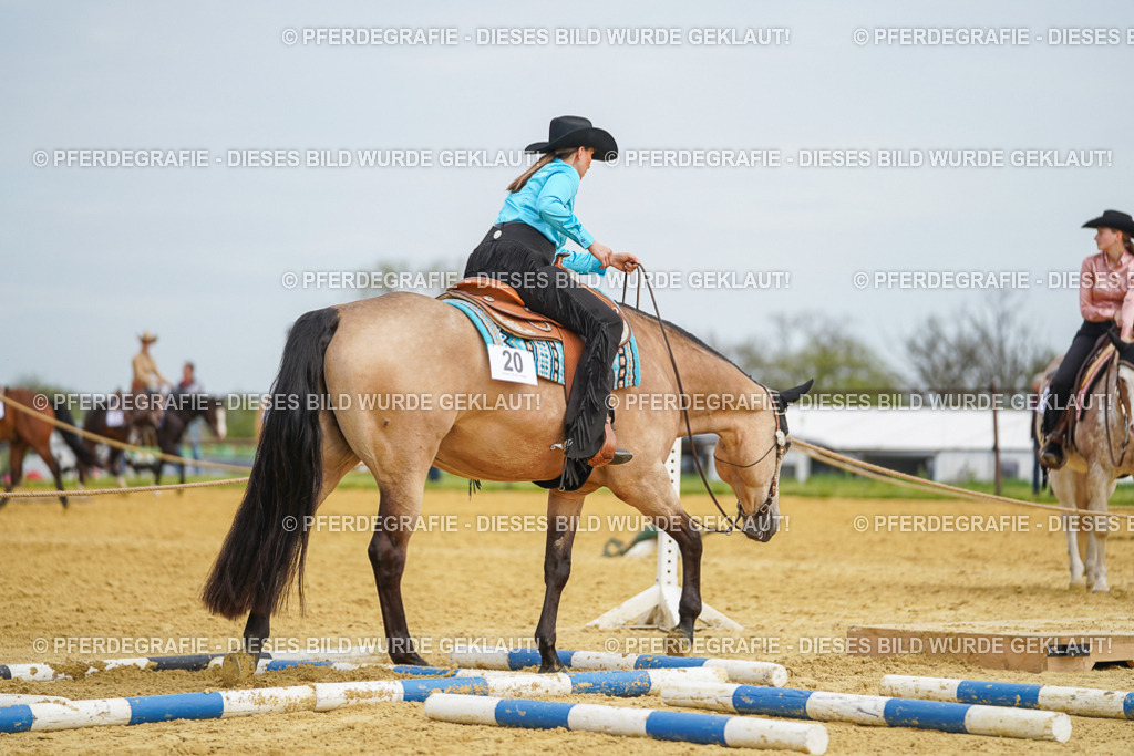 DSC03373 | Pferdegrafie