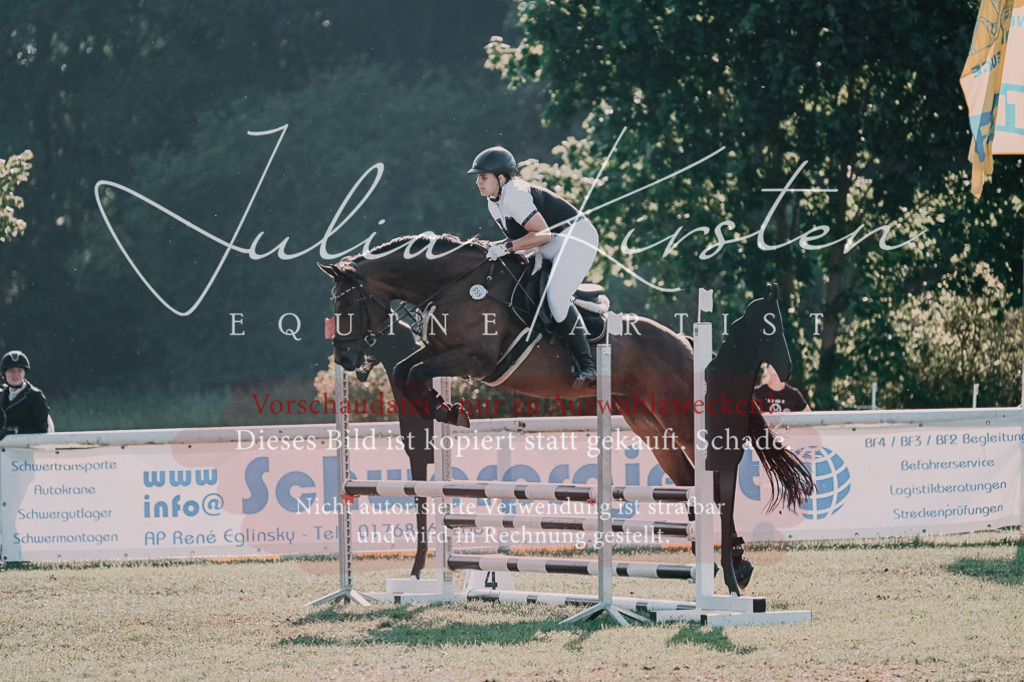 DSC_4592 | Pferde- und Turnierfotografie in Westsachsen. Pferdeportraits, Auftragszeichnungen und intuitive Kunst.