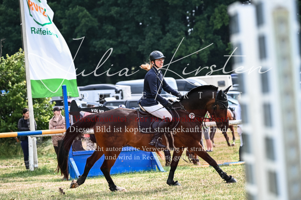 DSC_8254 | Pferde- und Turnierfotografie in Westsachsen. Pferdeportraits, Auftragszeichnungen und intuitive Kunst.