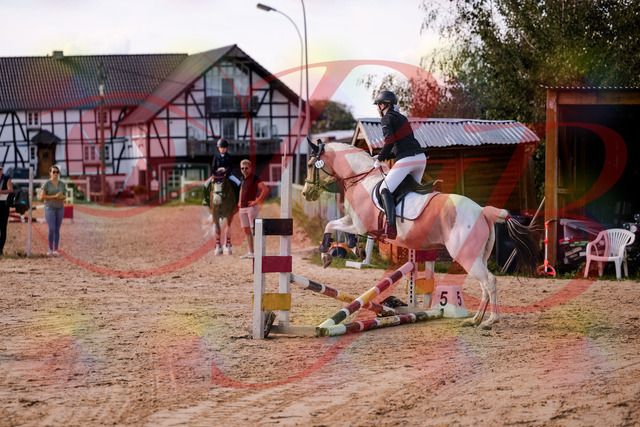 2026_10_03_Siefer-Hof_144303_Z81_16473724 | Professionelle Reitsport-, Turnier- und Eventfotografie von Robert Broda. Galerien mit ausgewählten und bearbeiteten Bildern direkt online ansehen und bestellen.