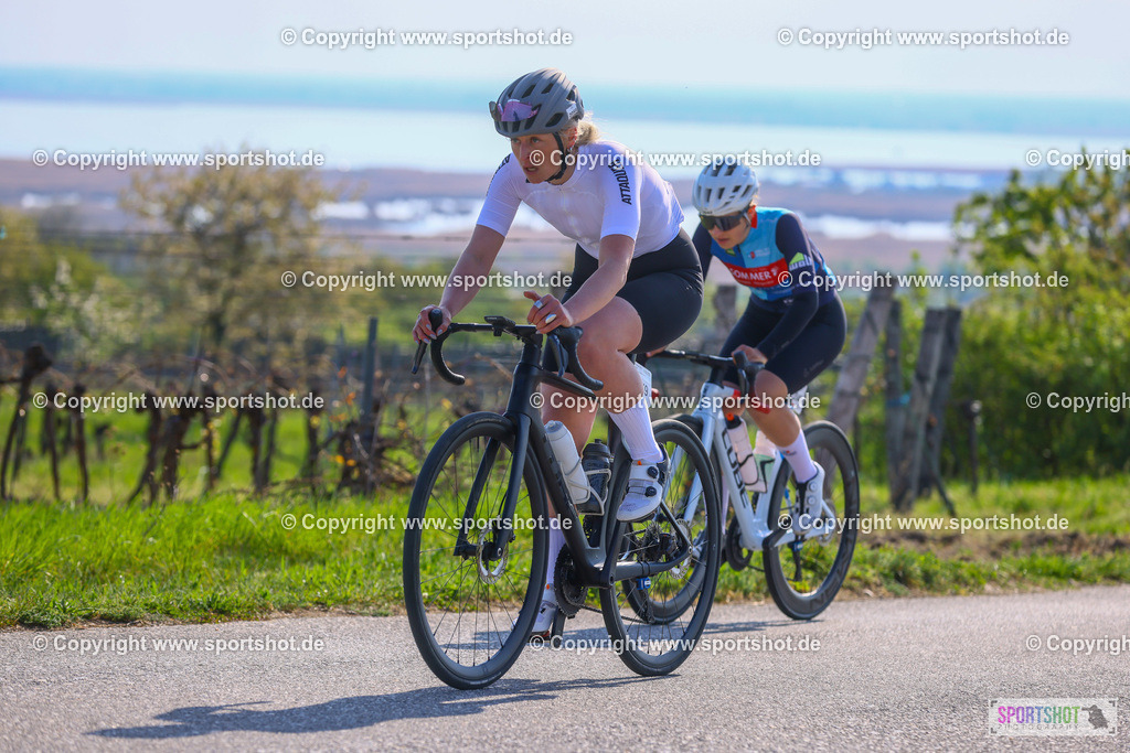 TRA_0267 | Neusiedlersee Radmarathon 2026@sportshot_your_pictrs #yourpictures#roadtowm2029 #nrm #neusiedlerseeradmarathon #neusiedlersee #neusiedlerseetourismus #burgenland #mörbisch #nrm26 #burgenlandtourismus #voglundco #poweredbyburgenlandtourismus #radsport #rad #marathon #ucigranfondo #visitburgenland #ucigranfondoworldseries