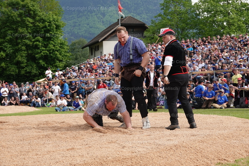 DSC04215 | Schwingen - Realisiert mit Pictrs.com