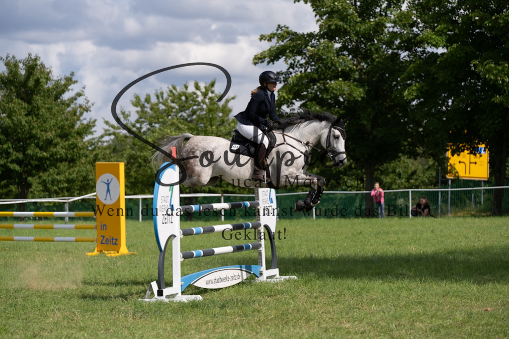 A7V04711 | Pferdefotograf