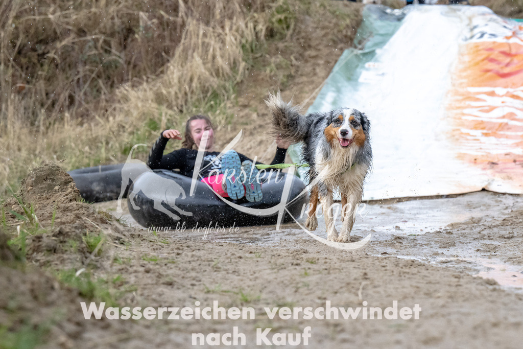 1536_ZZ90252 | kk-dogfotos