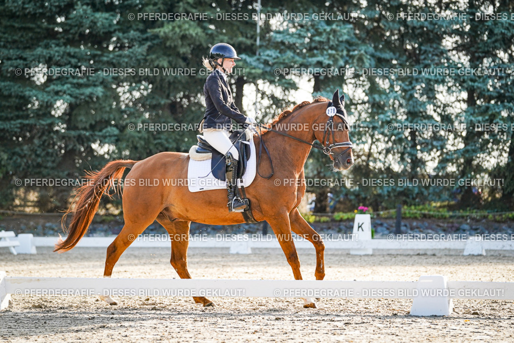 DSC08060 | Pferdegrafie