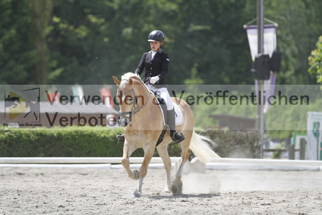 _MG_9994 | equestrian-live-com
