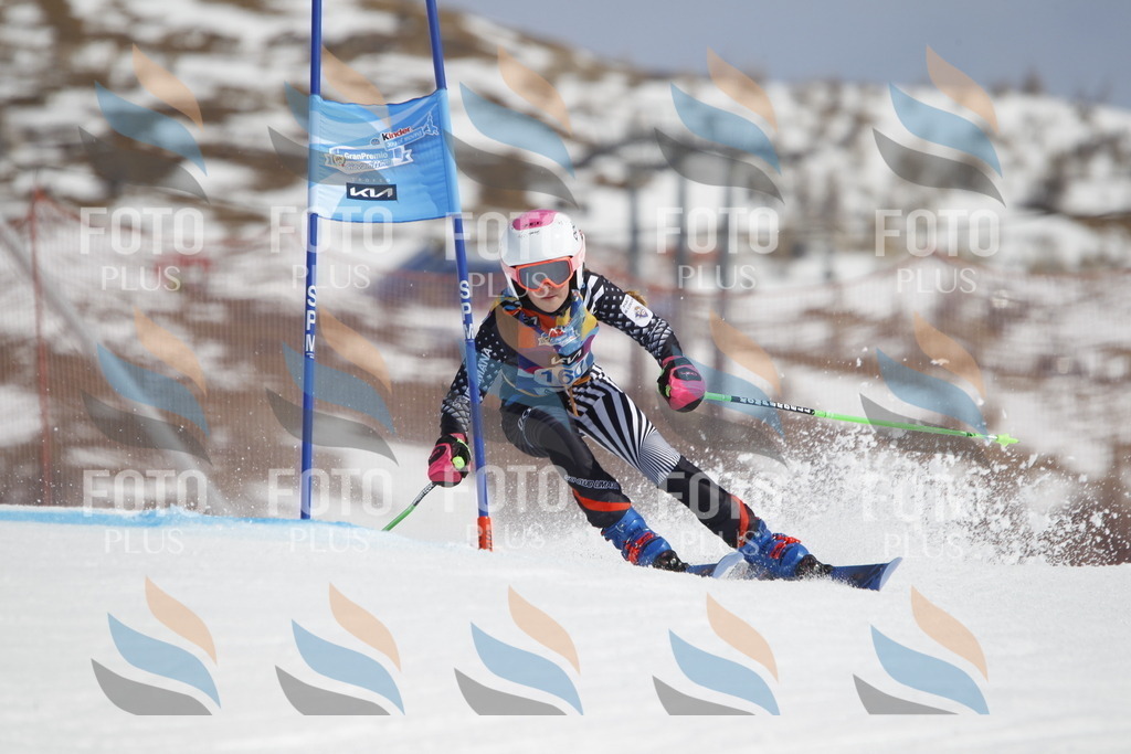 _U3G1376 | holidayphoto