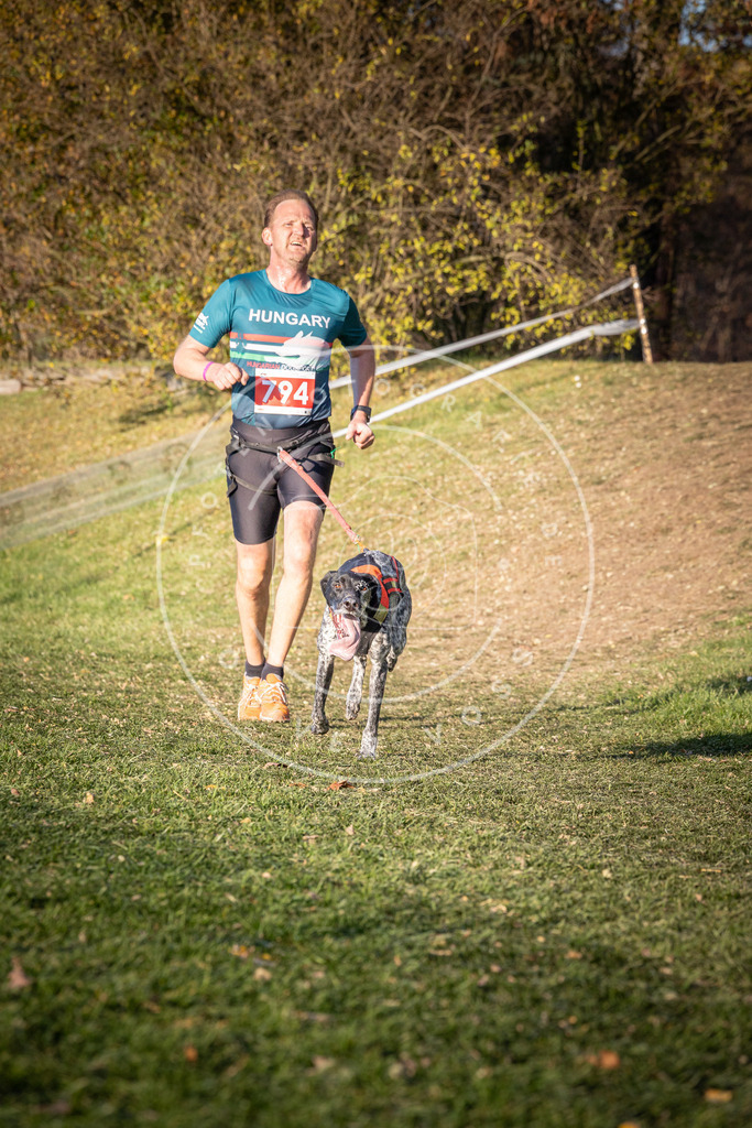 CaniXpix_0L8A0307 | Hundefotografie, Tierfotograf, Pfotenfotografie, Fotoshooting Hund, Hunde Portrait, Hundesport, Hundeportraits, Heideshooting, Hunde, Sportfotograf, Hundefotograf, Turnierhundsport, THS,  - Realisiert mit Pictrs.com