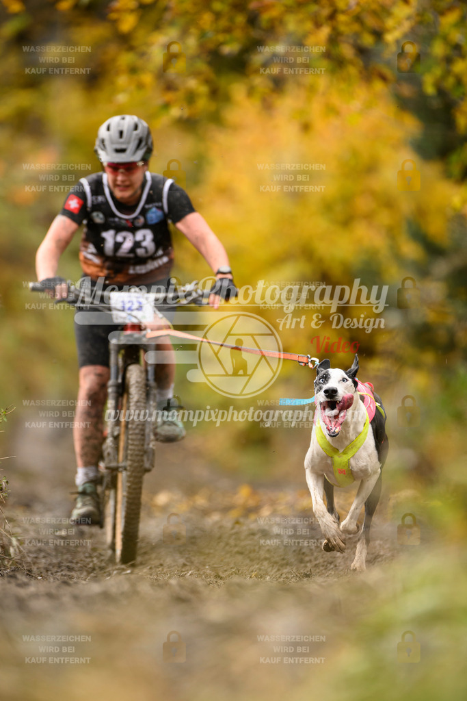 MompixPhotography_ICF_WC_2024_SA_Bike_-102 | PayLife