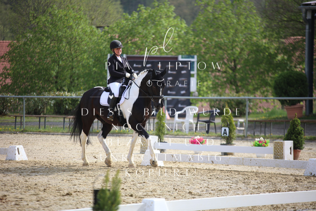 IMGT6452 | pl-fotografie