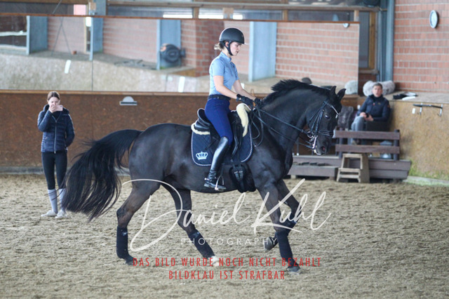 DKP42713 | Turniersportfotografie; Pferdefotografie; Dressurfotografie