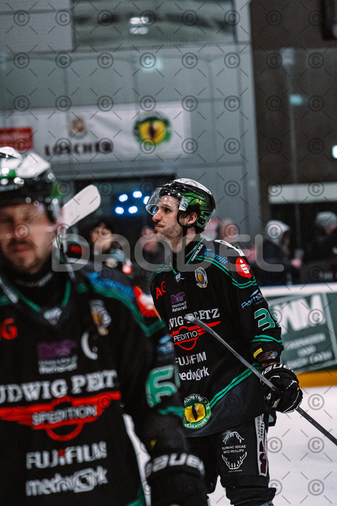 Alligators_vs_Toelz_15_02_2026-53 | Höchstadt Alligators Fotogalerie: Eishockey-Action aus Franken. Professionelle Spielfotos, Portraits & Stadionbilder zum Download. Jetzt entdecken! - Realisiert mit Pictrs.com