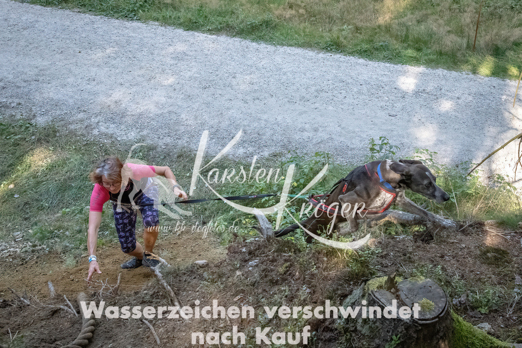 1141_ZZ91411 | kk-dogfotos