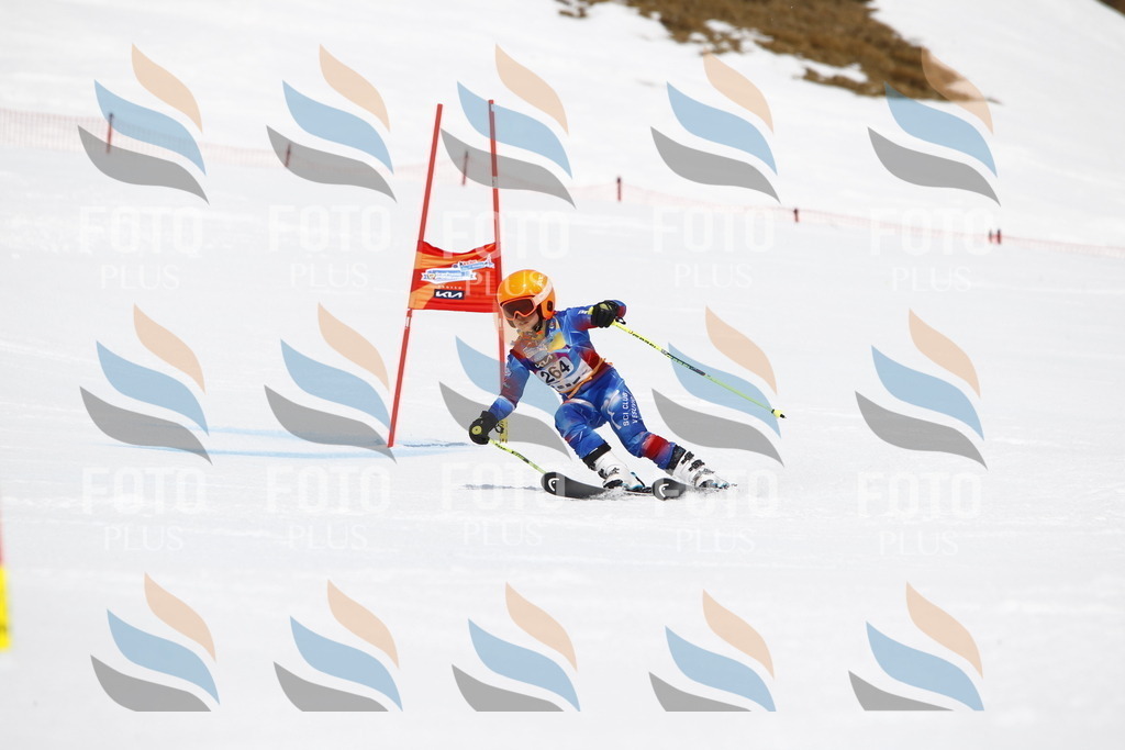 _U3G6601 | holidayphoto