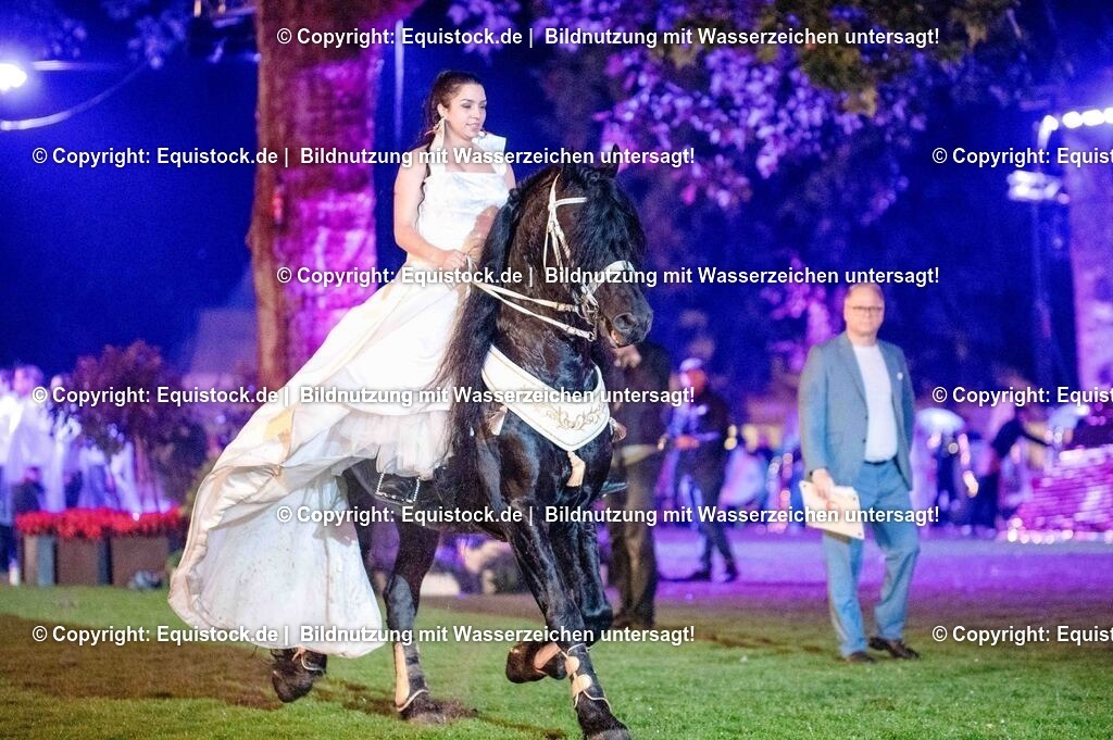 20250606_Lange-Pferdenacht_1458 | Foto: Thomas Hartig