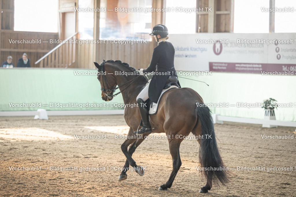 _D5A7781 | Emotionale Pferde- & People-Fotografie rund um Heidelberg, Leimen & Umgebung. Natürliche Fotos von Pferd, Mensch & Familie. Jetzt Termin sichern!