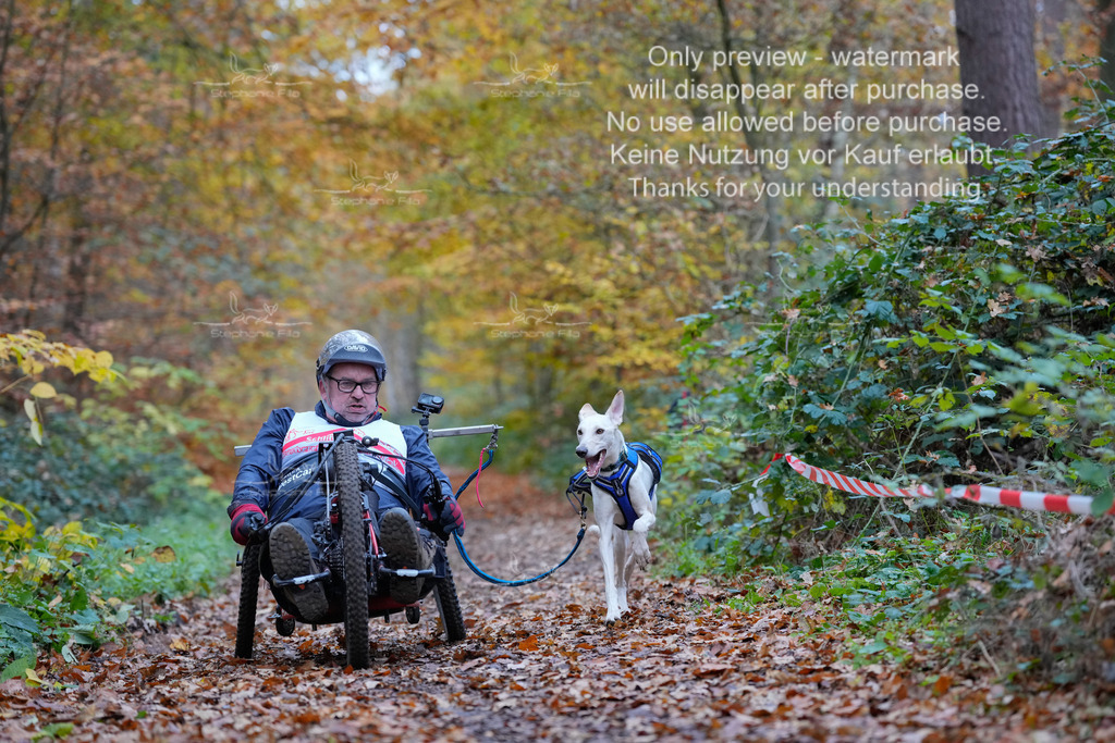 Scooter_So-51 | stephaniefillaphotographie - Realisiert mit Pictrs.com