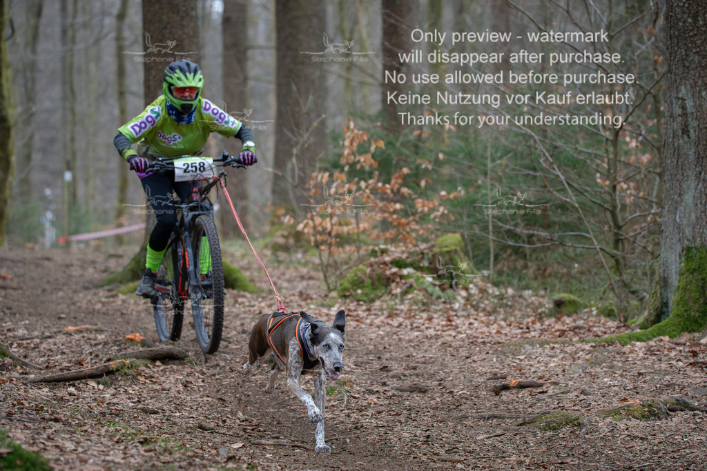 Bike_So-188 | stephaniefillaphotographie - Realisiert mit Pictrs.com