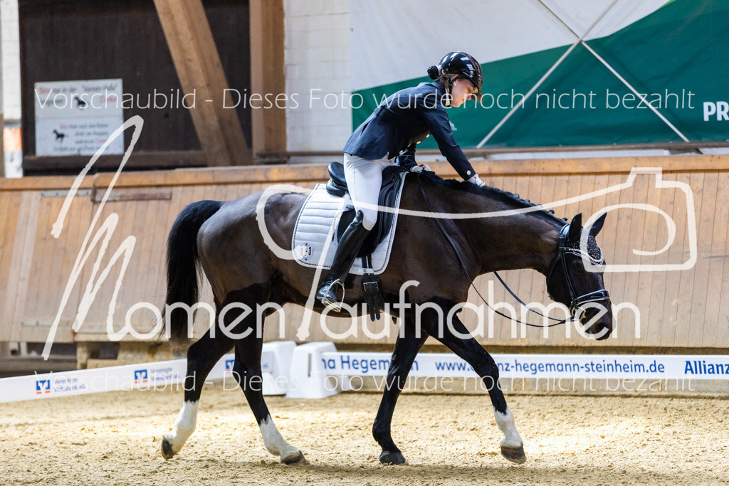 Sth-LPO25-DrR-L-160 | MomenTaufnahmen Pferdesportfotos