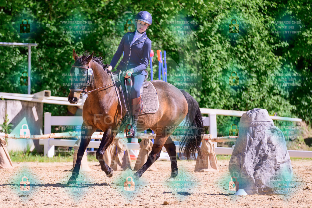01052026-Giesenbach-02-Stiltrail-0658 | Fokus Hufschlag Fotografie - Realisiert mit Pictrs.com
